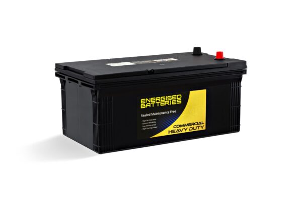 Energised MF Heavy Duty Truck and Tractor Battery NP-N200EU